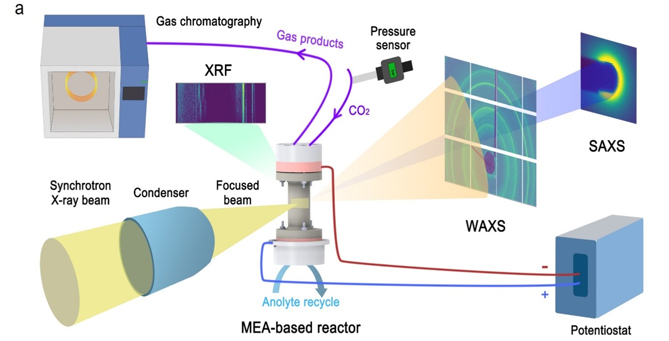 watersplitting device